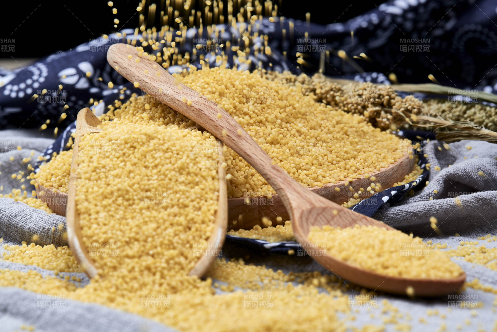 質量上乘的金黃小米粟米