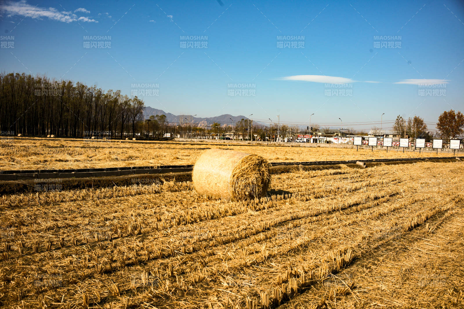 北京海淀稻香花海—金秋麦田草垛