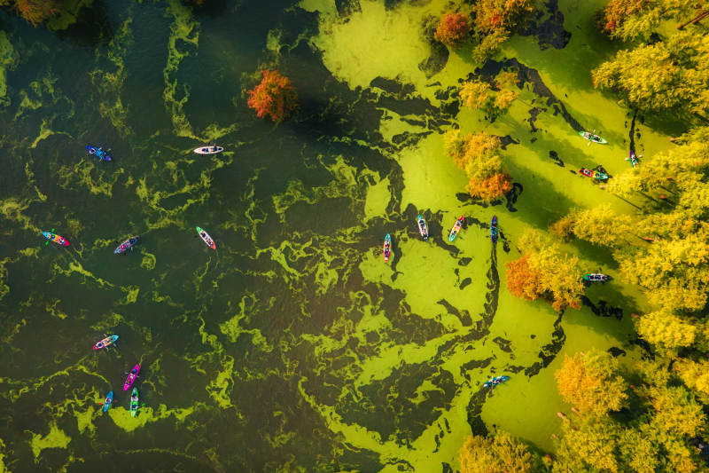 临安青山湖秋湖泛舟图