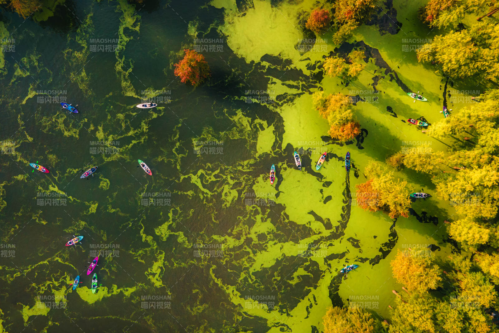 临安青山湖秋湖泛舟图