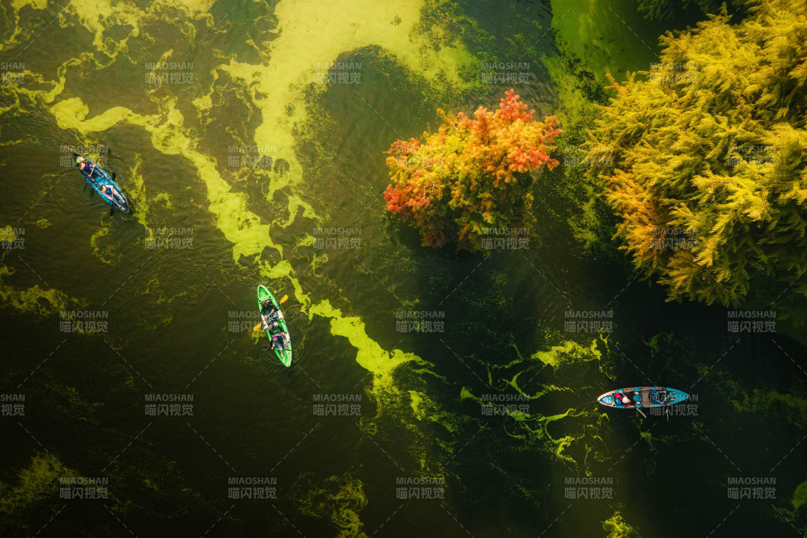 临安青山湖秋湖泛舟