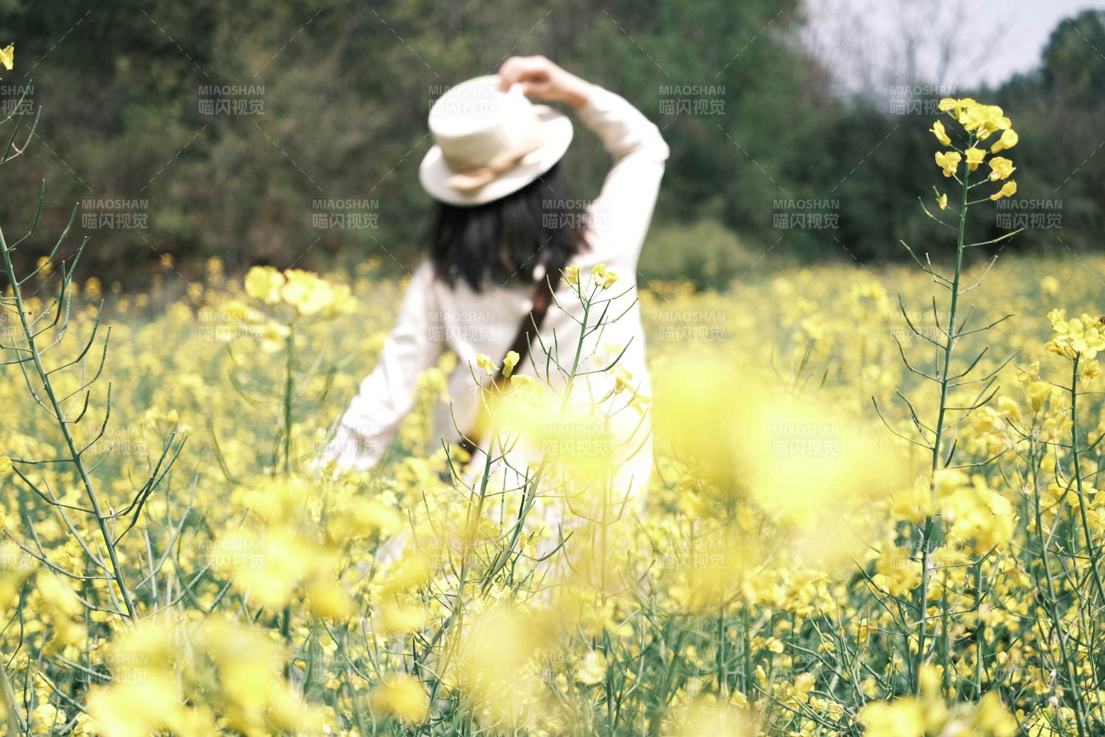 油菜花田中的女子