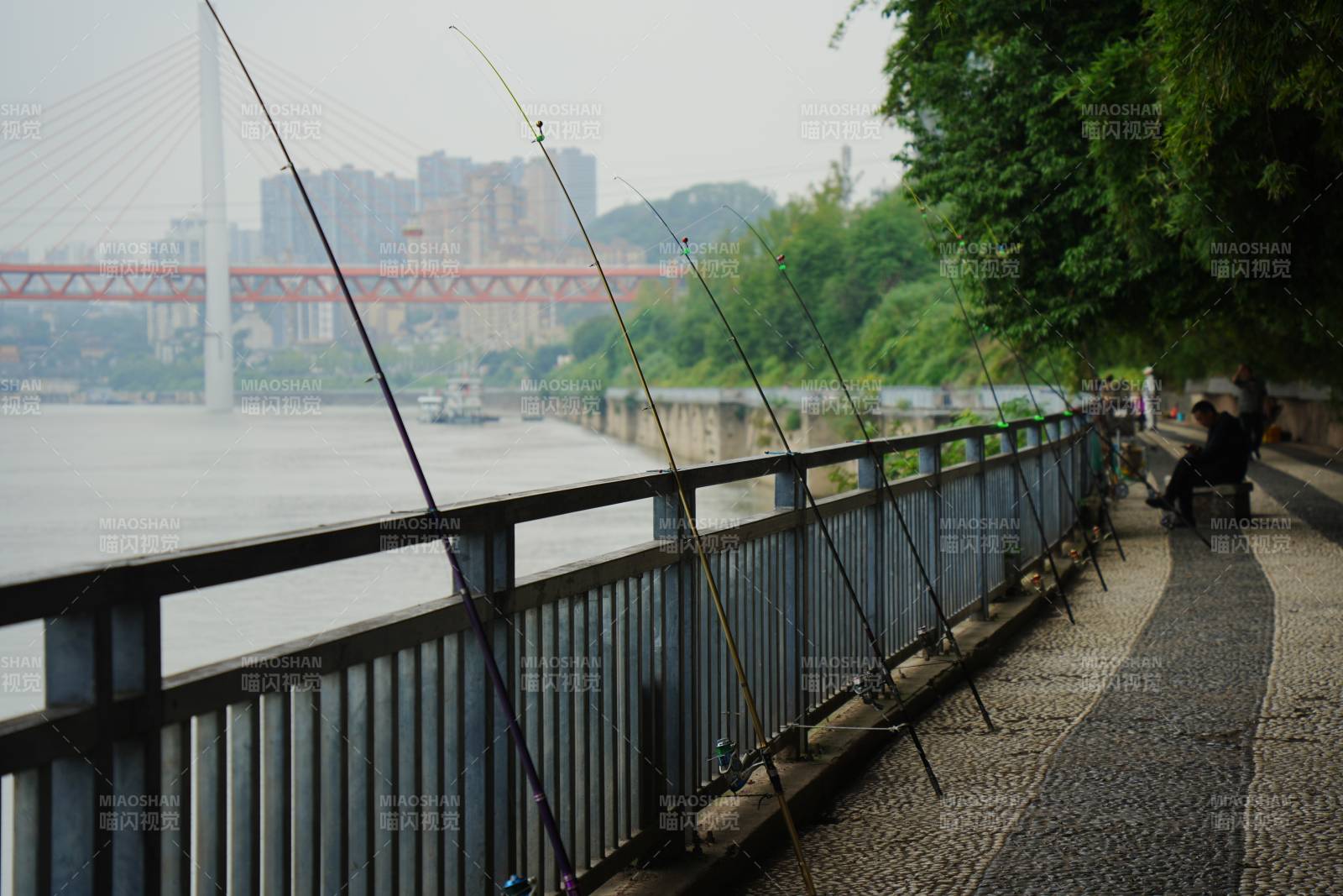 江边垂钓静景