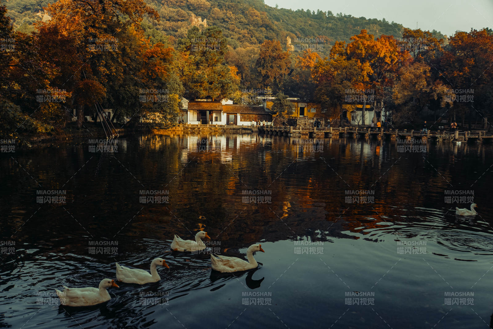 苏州天平山深秋