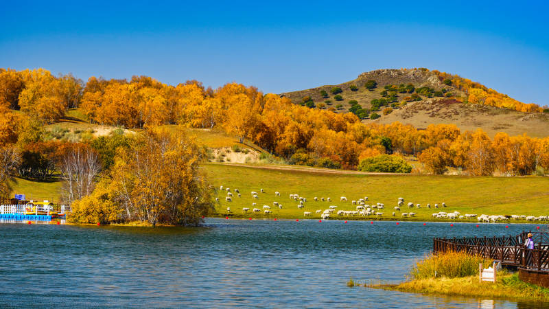 乌兰布统公主湖牧影