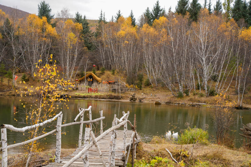 秋天湖边木桥静景