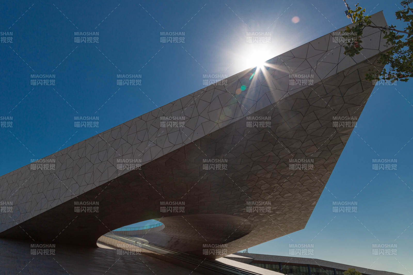 太原植物园现代建筑仰拍图