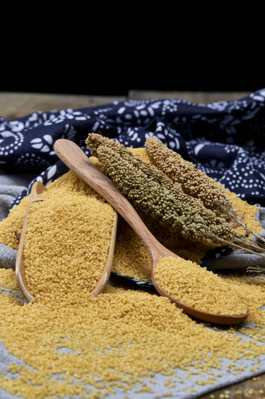 质量上乘的金黄小米粟米