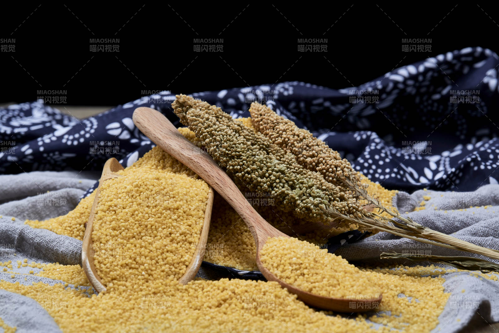 質量上乘的金黃小米粟米