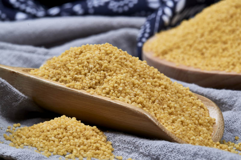 质量上乘的金黄小米粟米