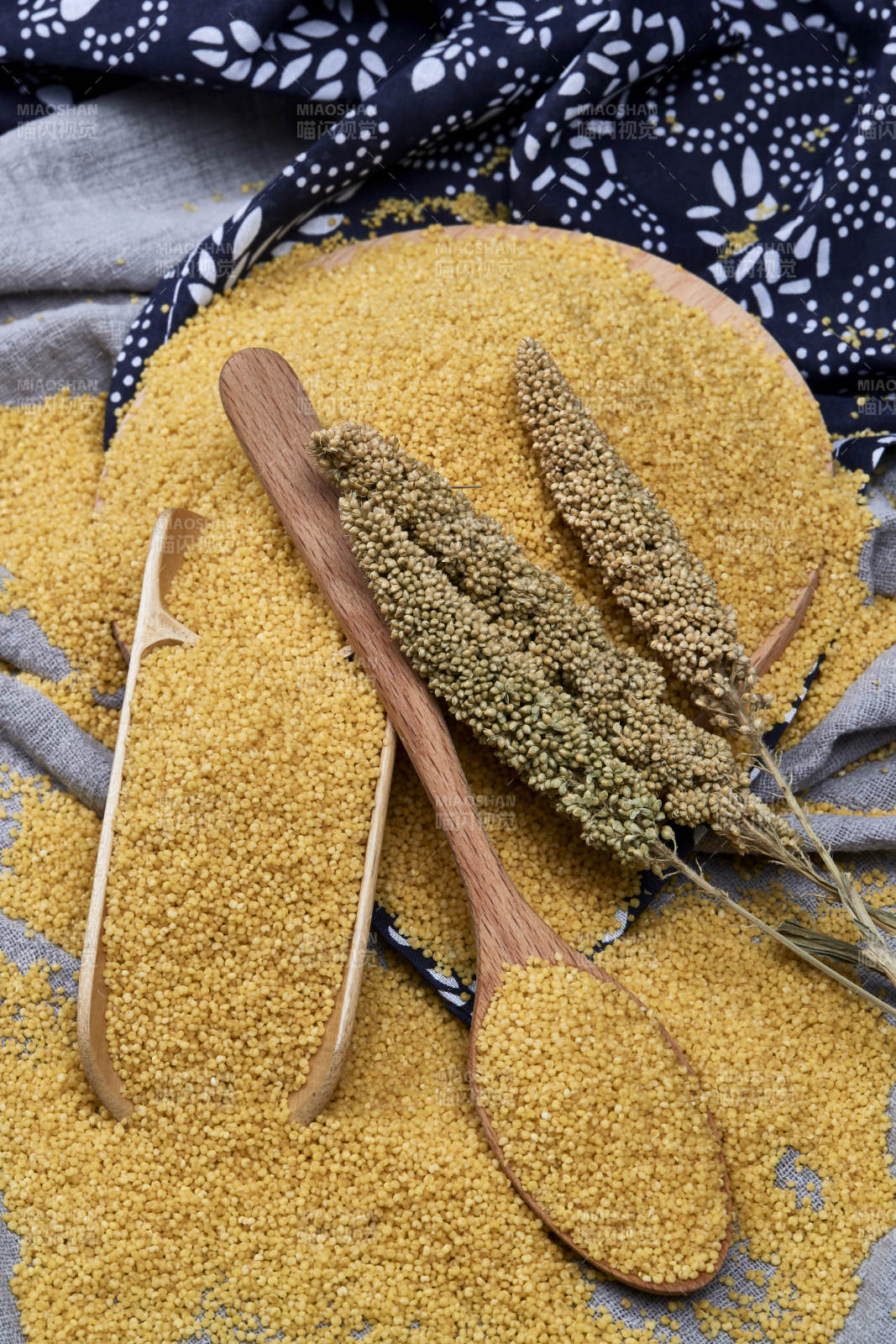 質量上乘的金黃小米粟米