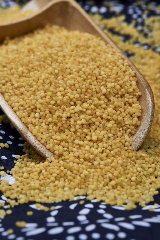 质量上乘的金黄小米粟米