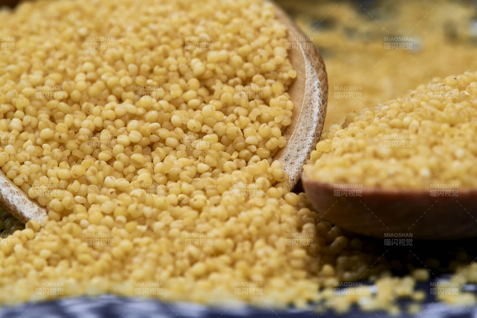 質量上乘的金黃小米粟米
