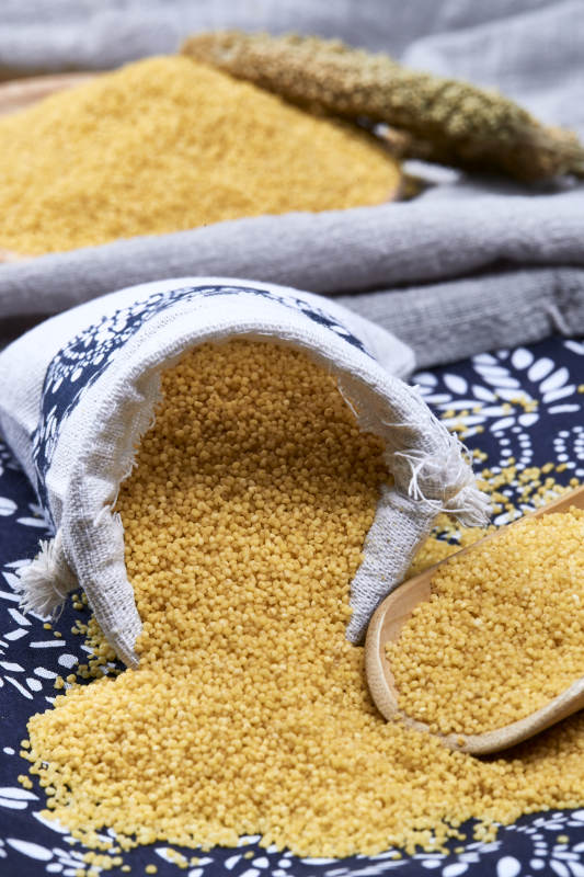 质量上乘的金黄小米粟米