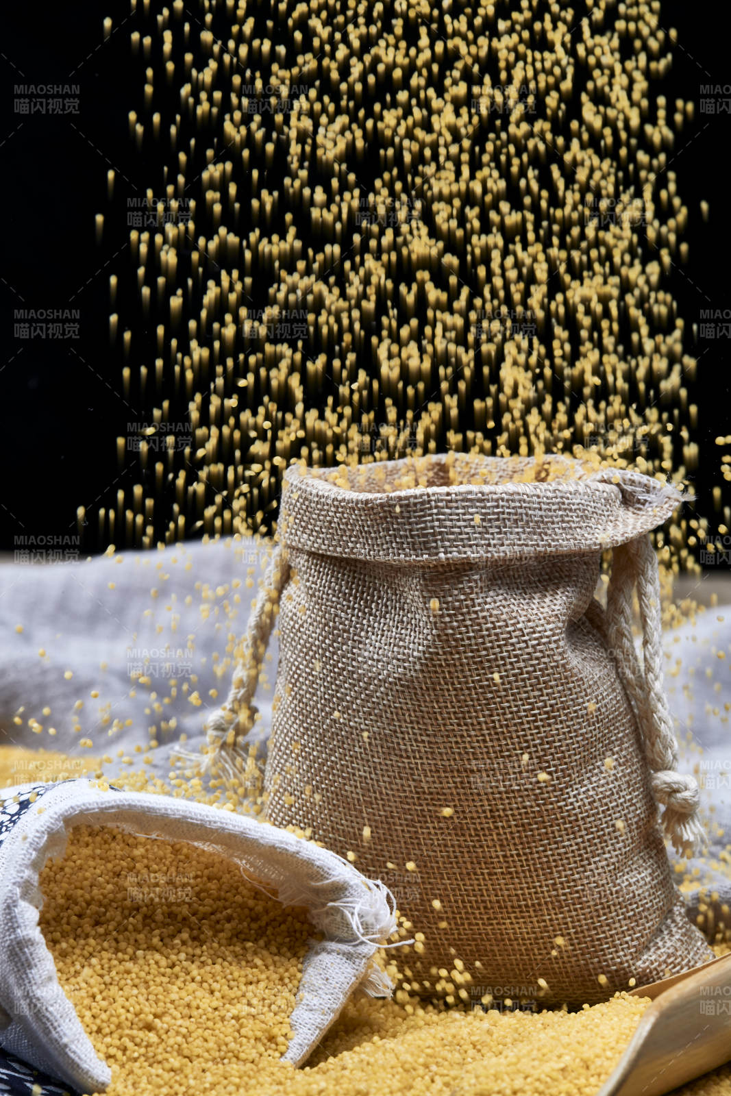 質量上乘的金黃小米粟米