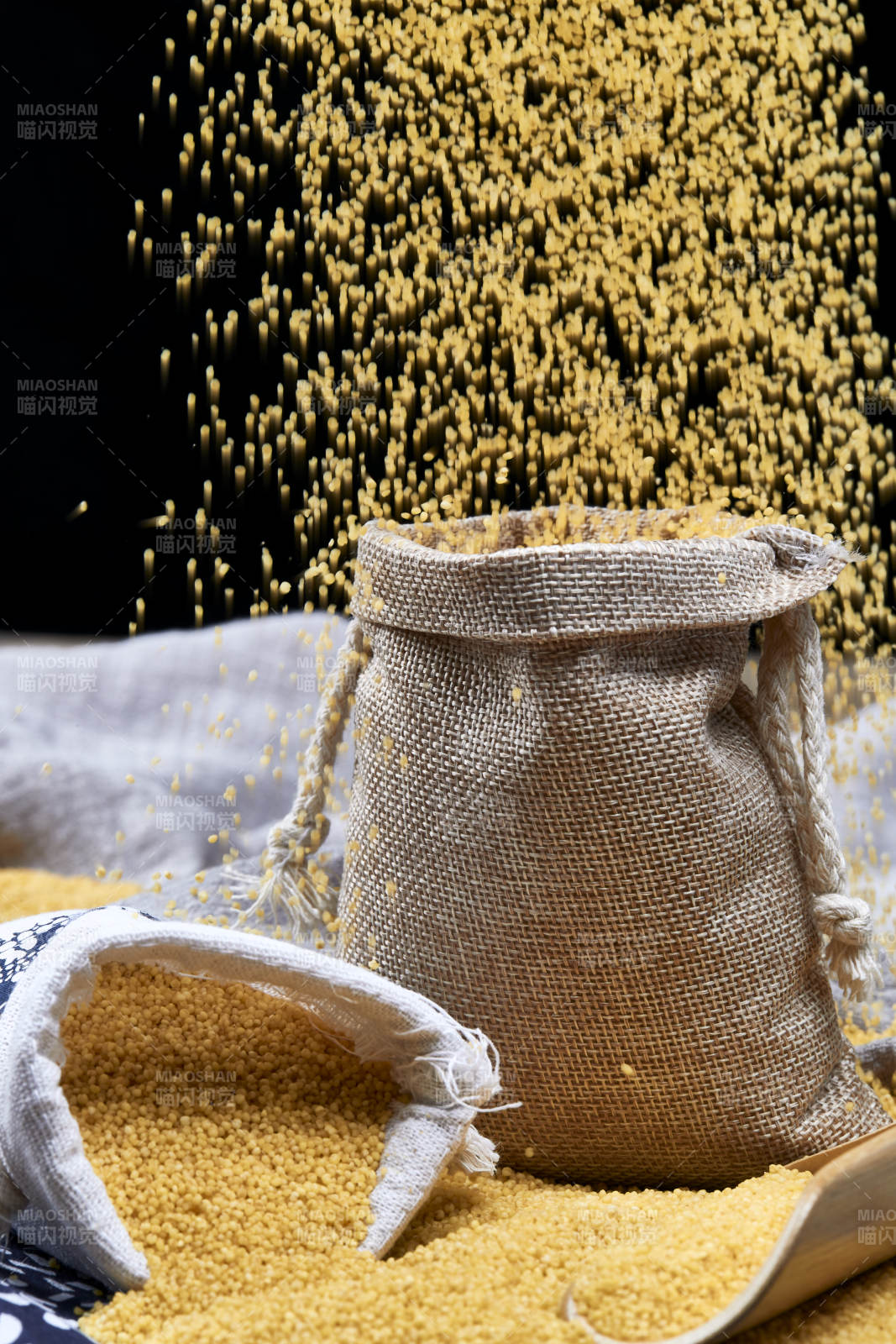 質量上乘的金黃小米粟米