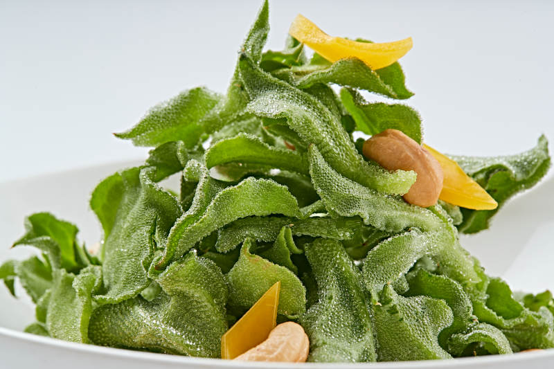 白色瓷盘装的麻酱凉拌穿心莲