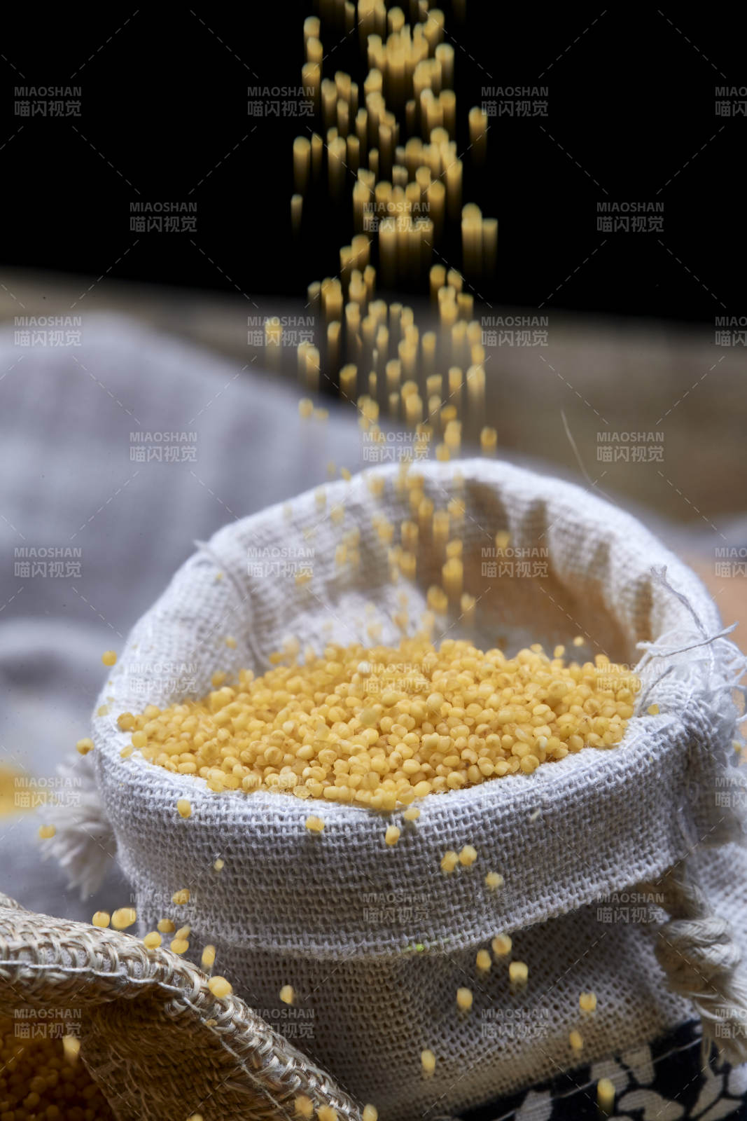 質量上乘的金黃小米粟米