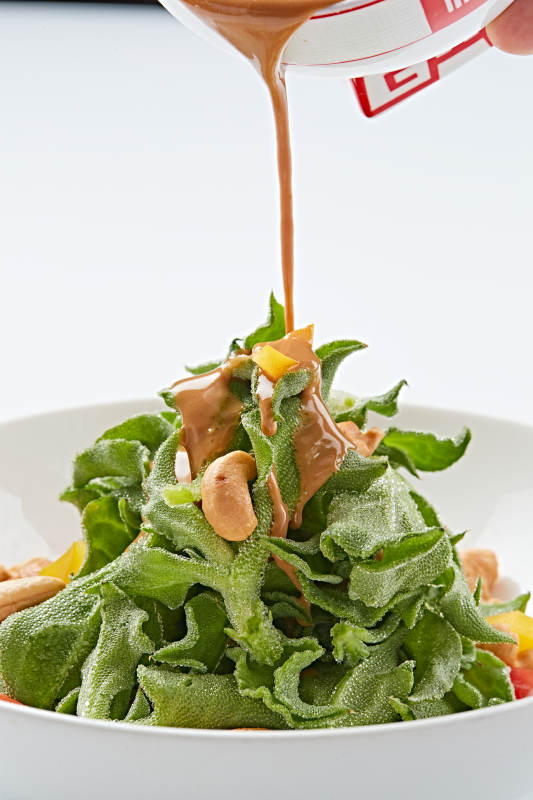 白色瓷盘装的麻酱凉拌穿心莲