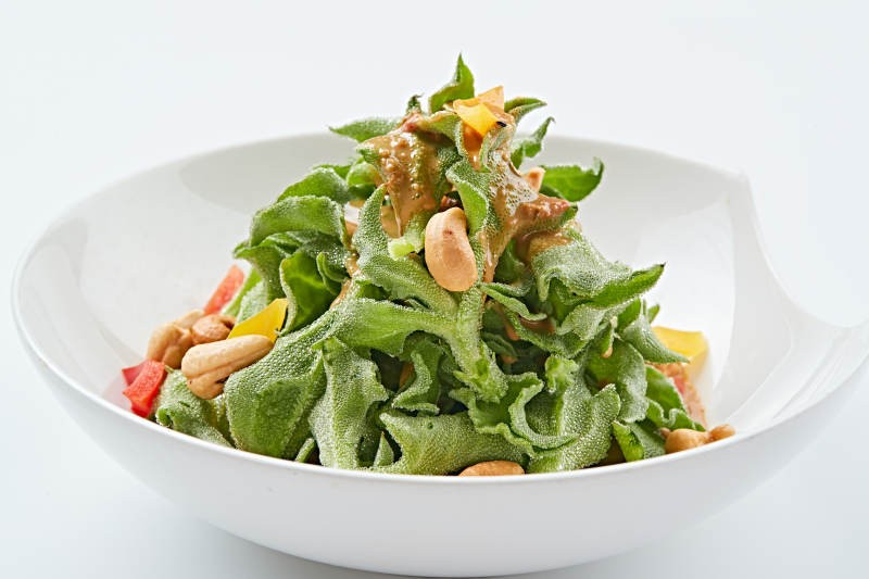 白色瓷盘装的麻酱凉拌穿心莲