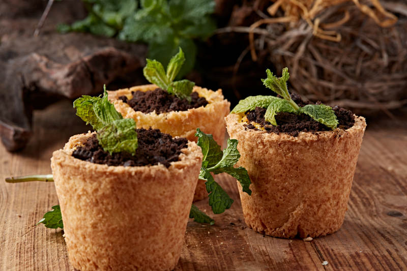 茶餐盆栽蛋挞巧克力冰激凌