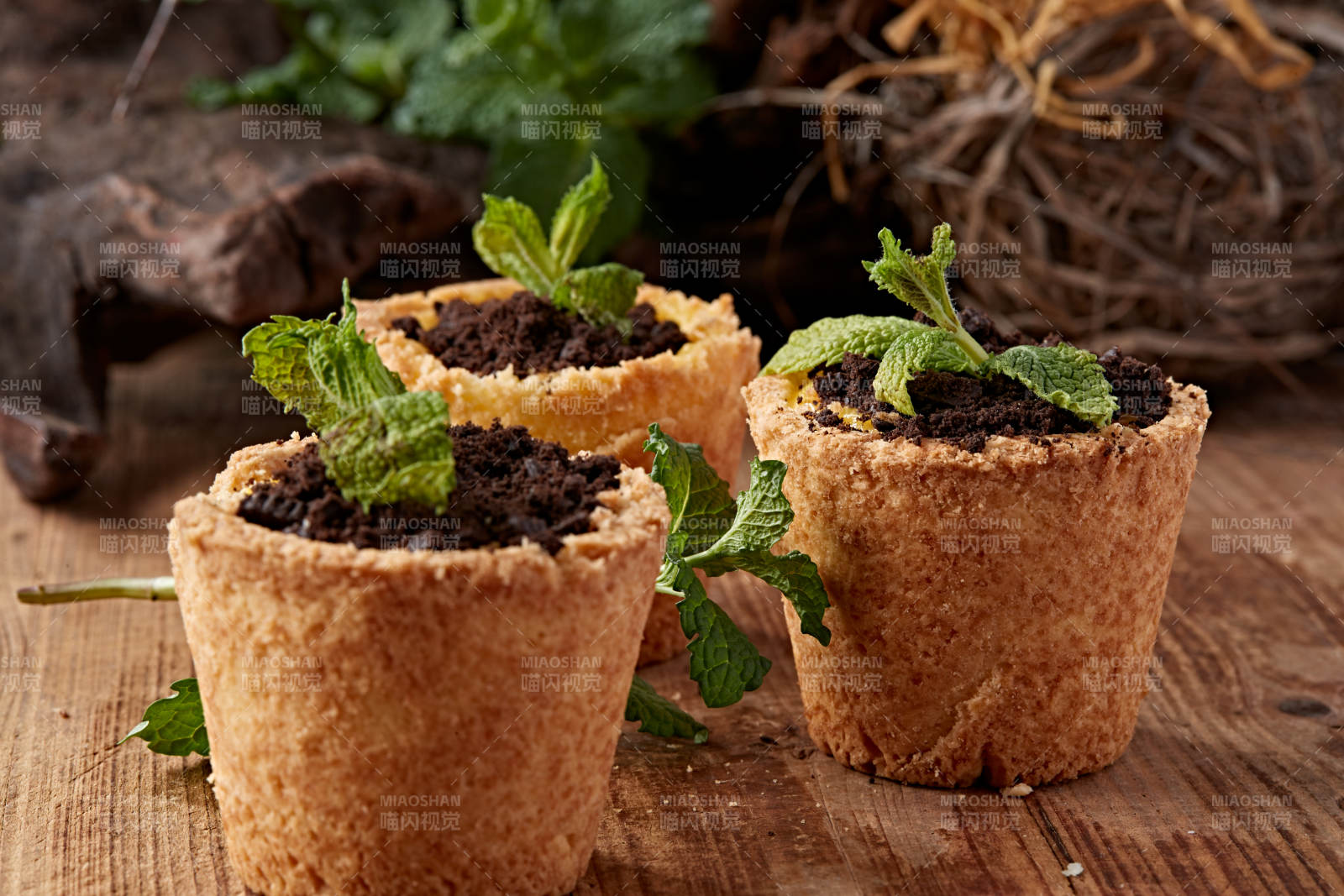 茶餐盆栽蛋挞巧克力冰激凌