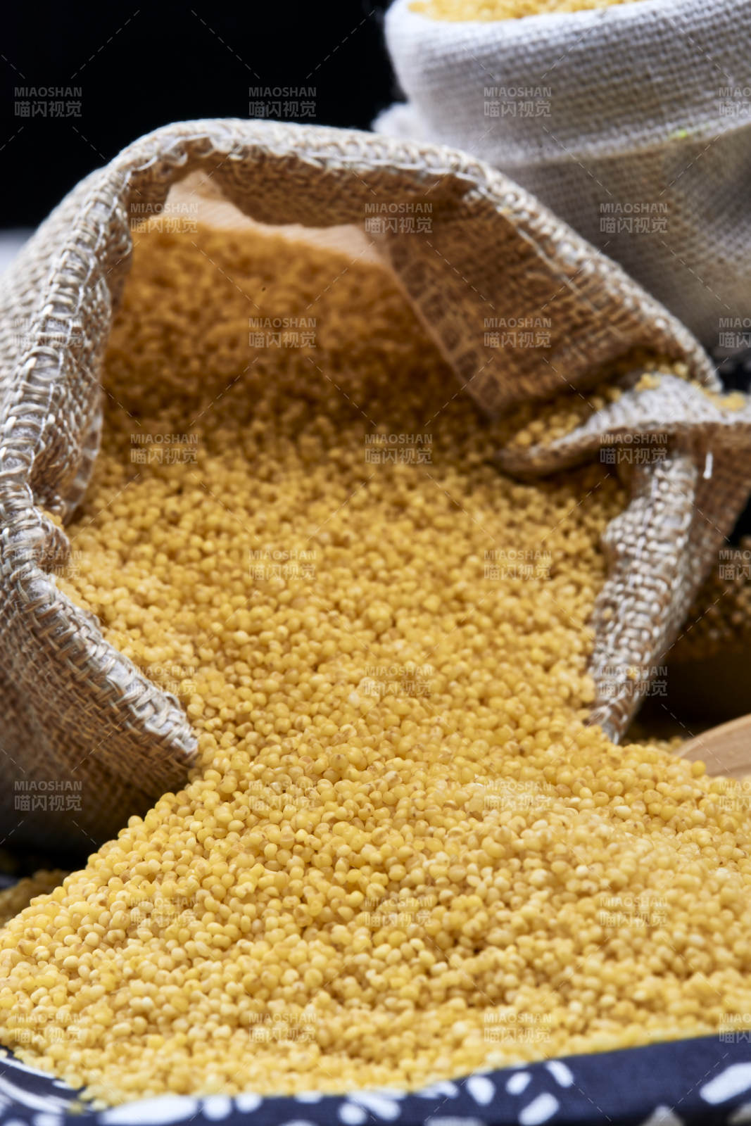 质量上乘的金黄小米粟米
