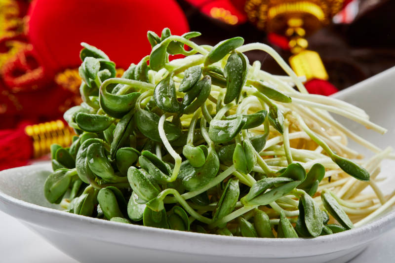 白色瓷盘装的火锅食材香椿苗