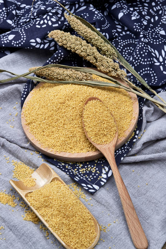 质量上乘的金黄小米粟米