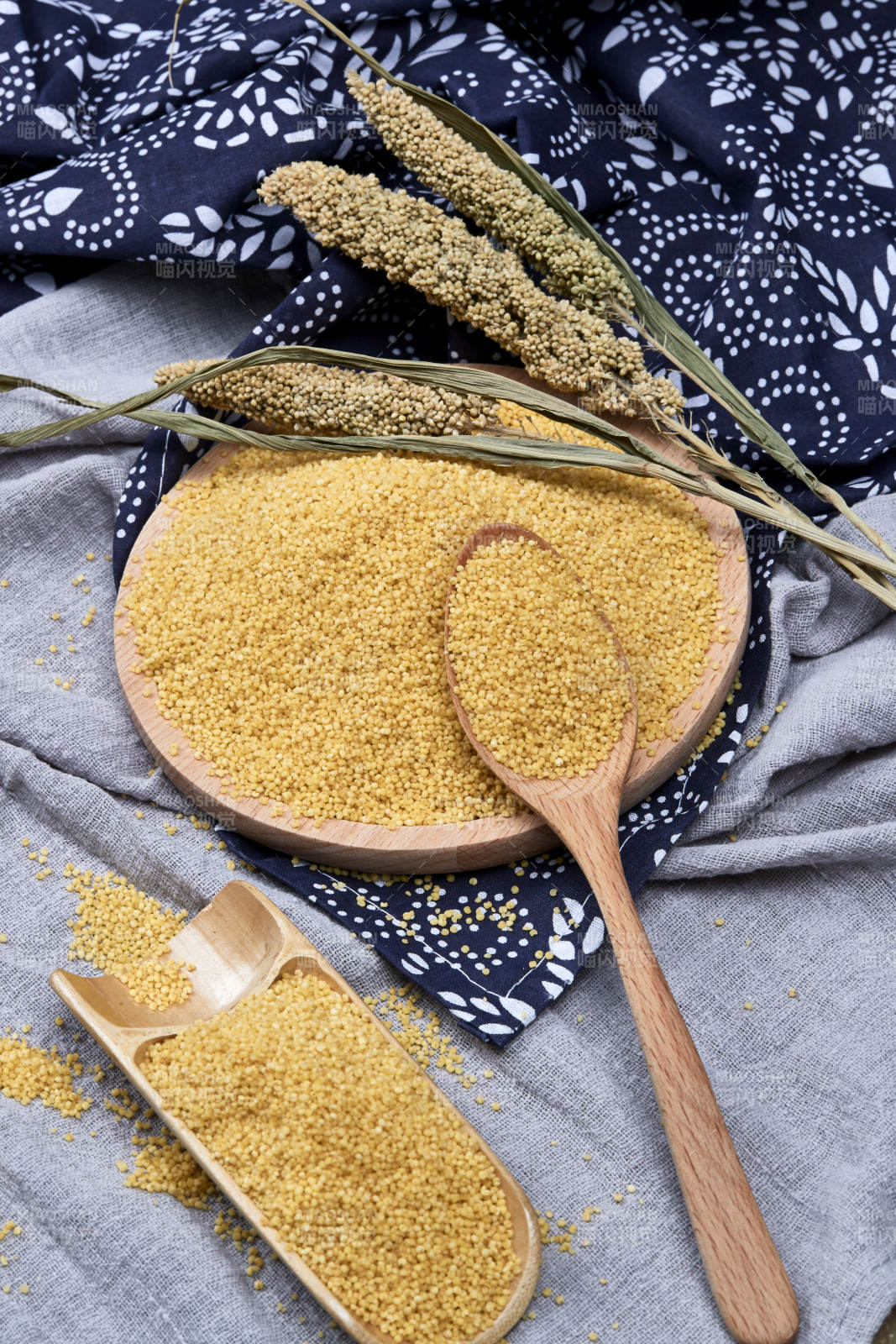 質量上乘的金黃小米粟米