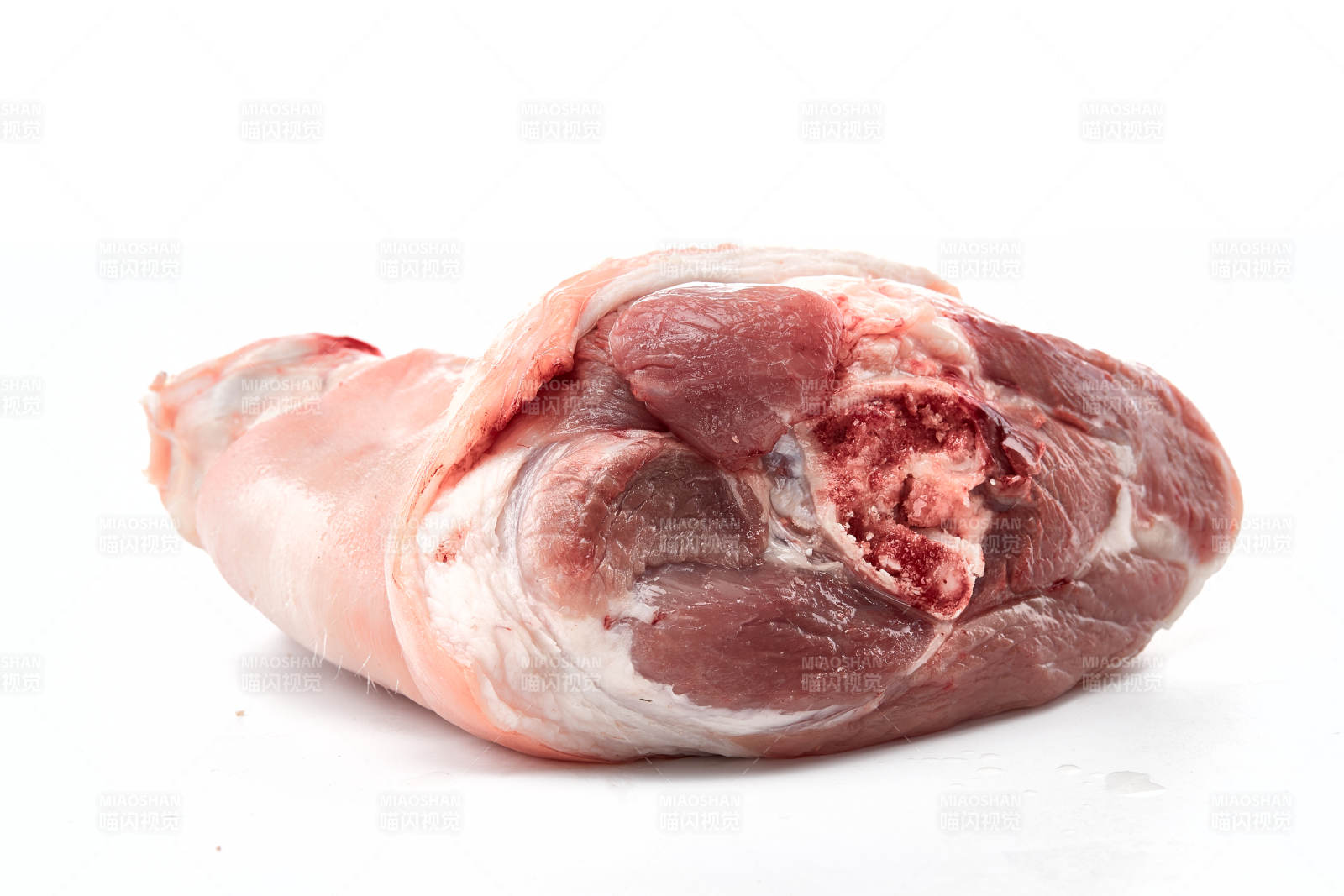 白色背景下的生鲜猪肘子