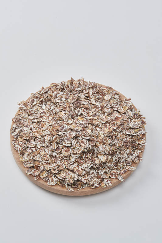 白色背景上的健康低脂黑麦片颗粒