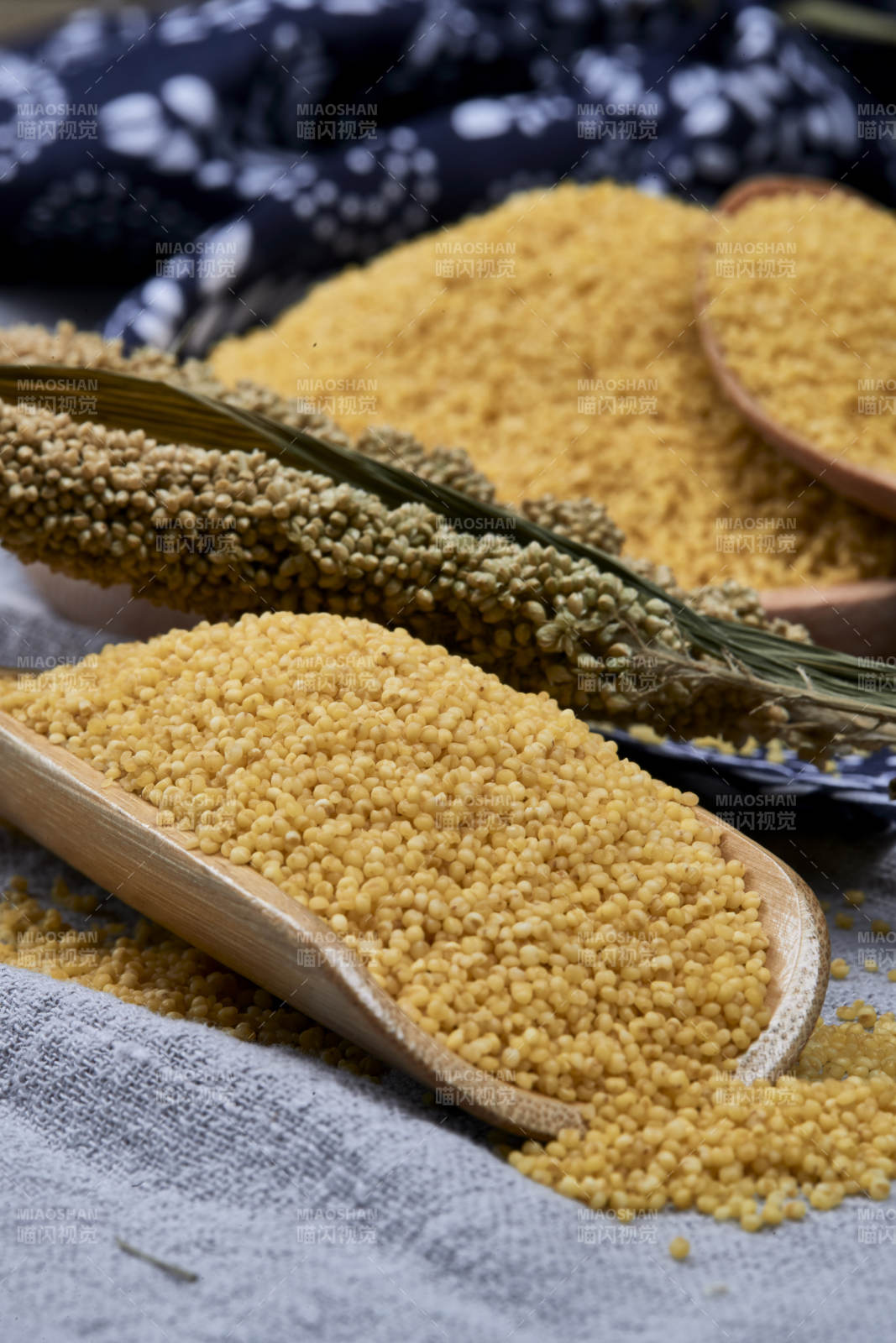 质量上乘的金黄小米粟米