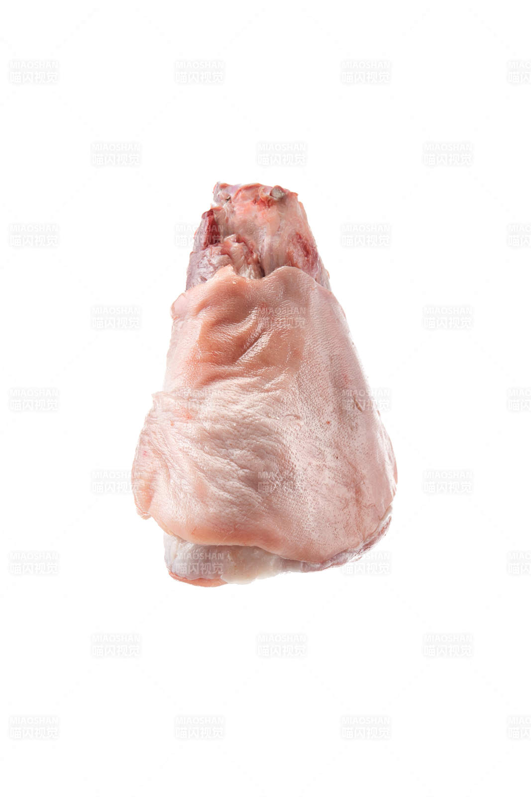 白色背景下的生鮮豬肘子