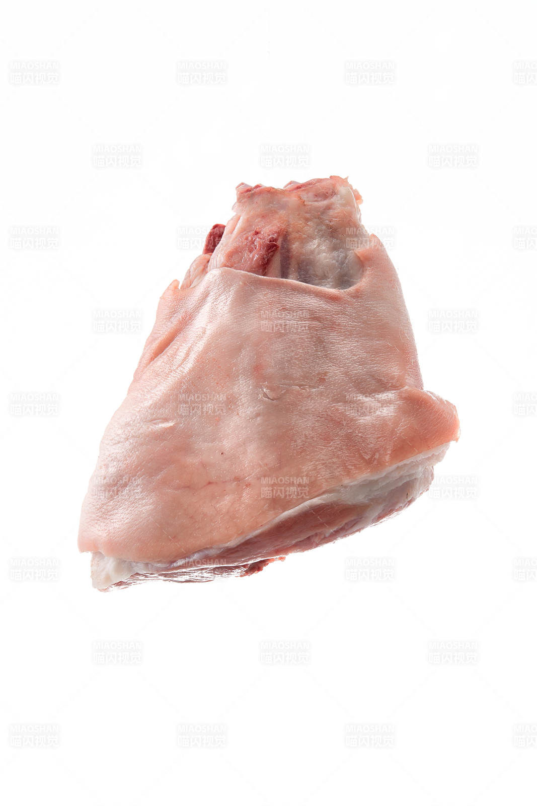 白色背景下的生鮮豬肘子