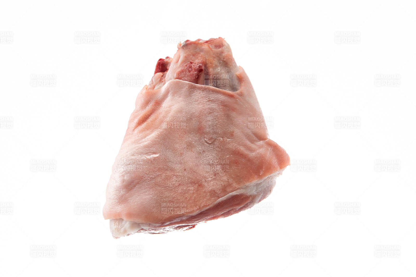 白色背景下的生鮮豬肘子
