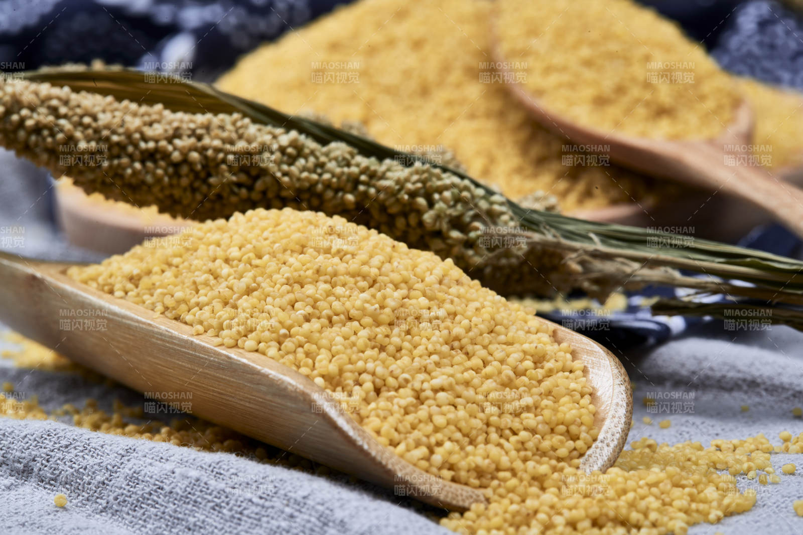 质量上乘的金黄小米粟米