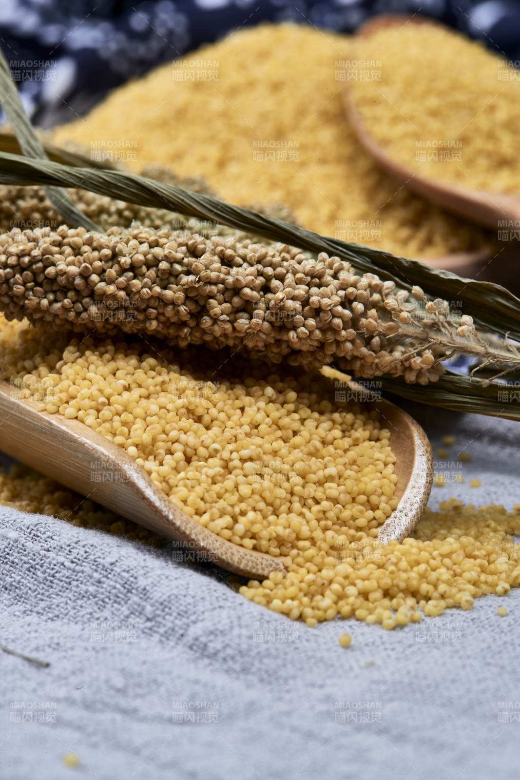 质量上乘的金黄小米粟米