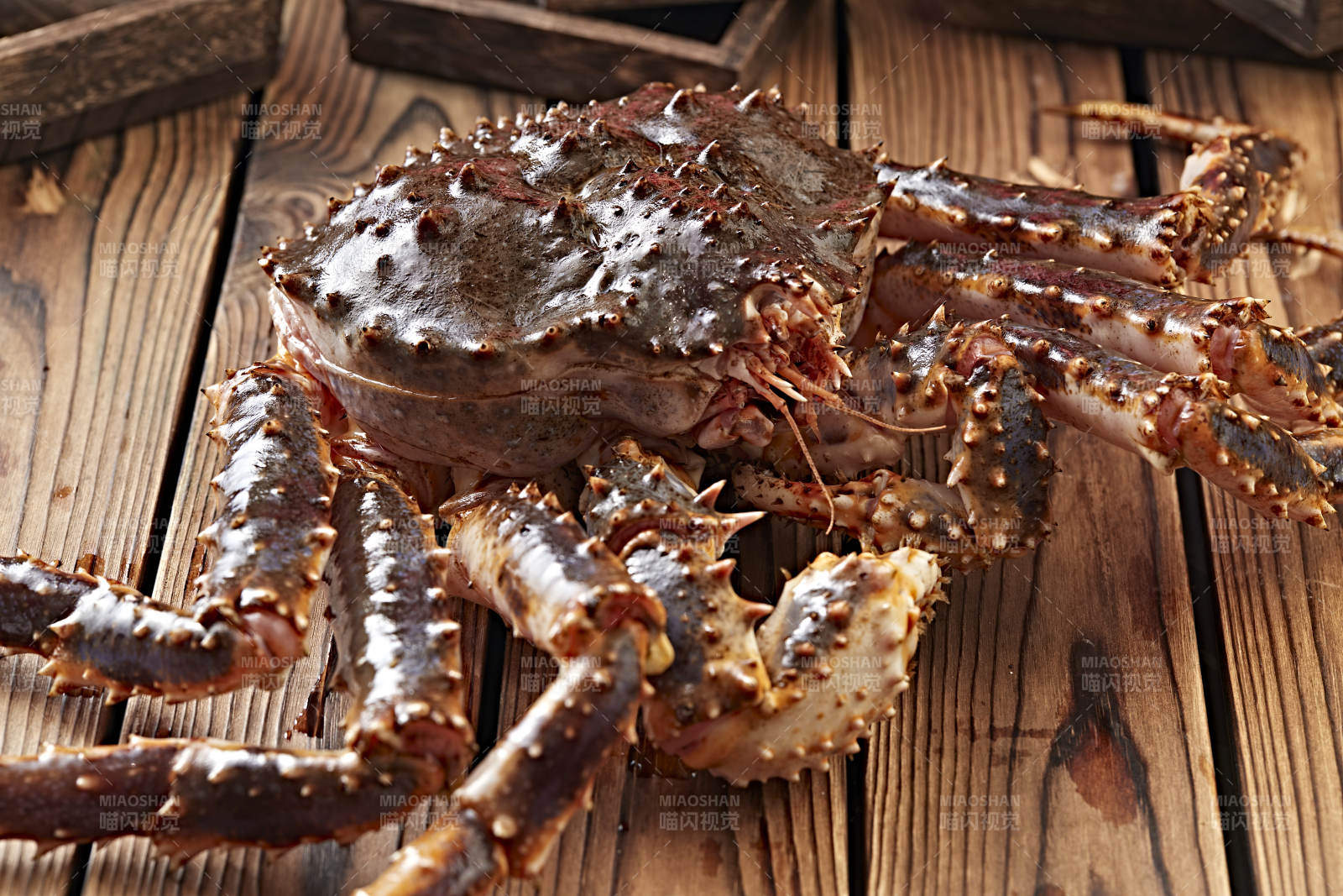 木板上的北美阿拉斯加帝王蟹