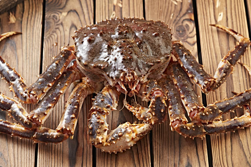 木板上的北美阿拉斯加帝王蟹