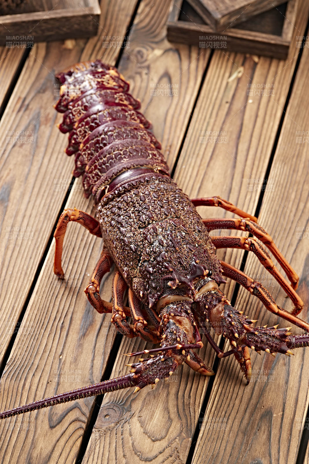 木板上的澳洲大龙虾