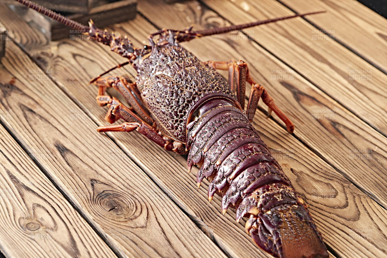 木板上的澳洲大龙虾