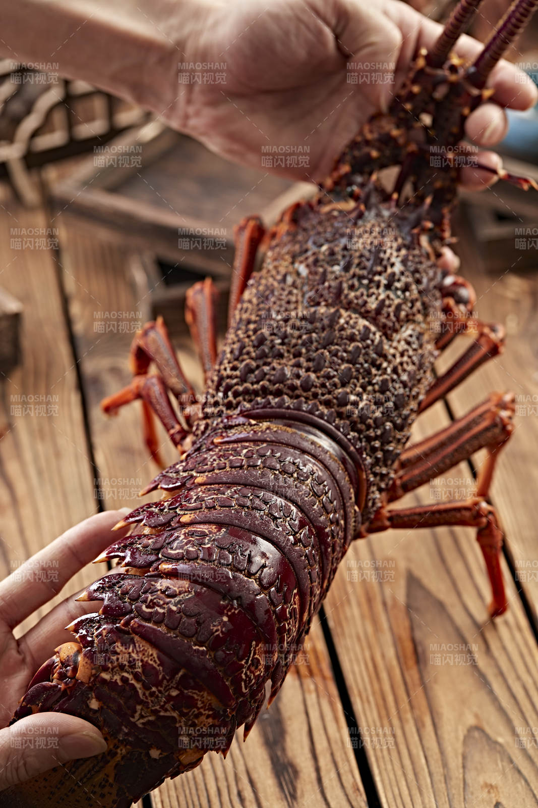 木板上的澳洲大龙虾