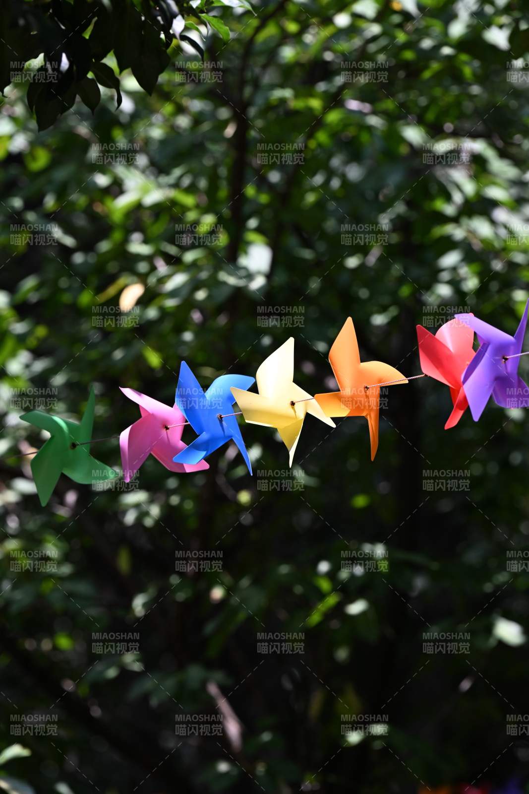 彩色风车随风舞