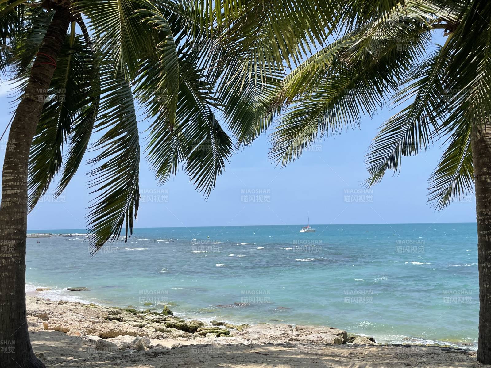 椰林碧海风光