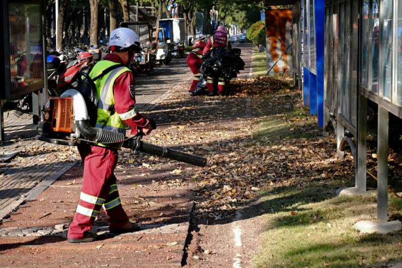 环卫工人清扫落叶
