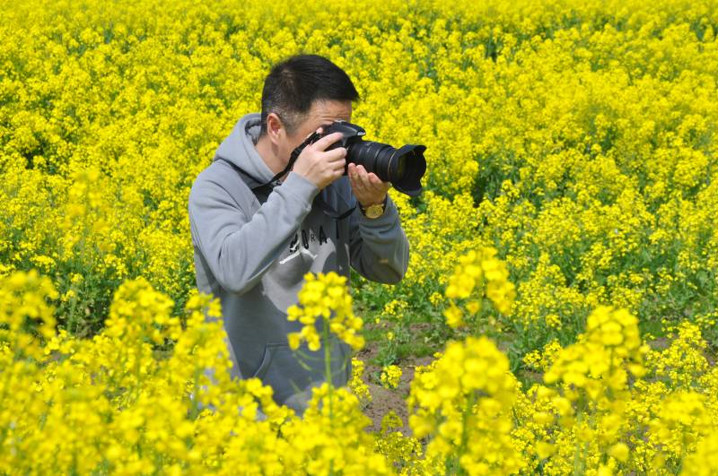 花海中摄影