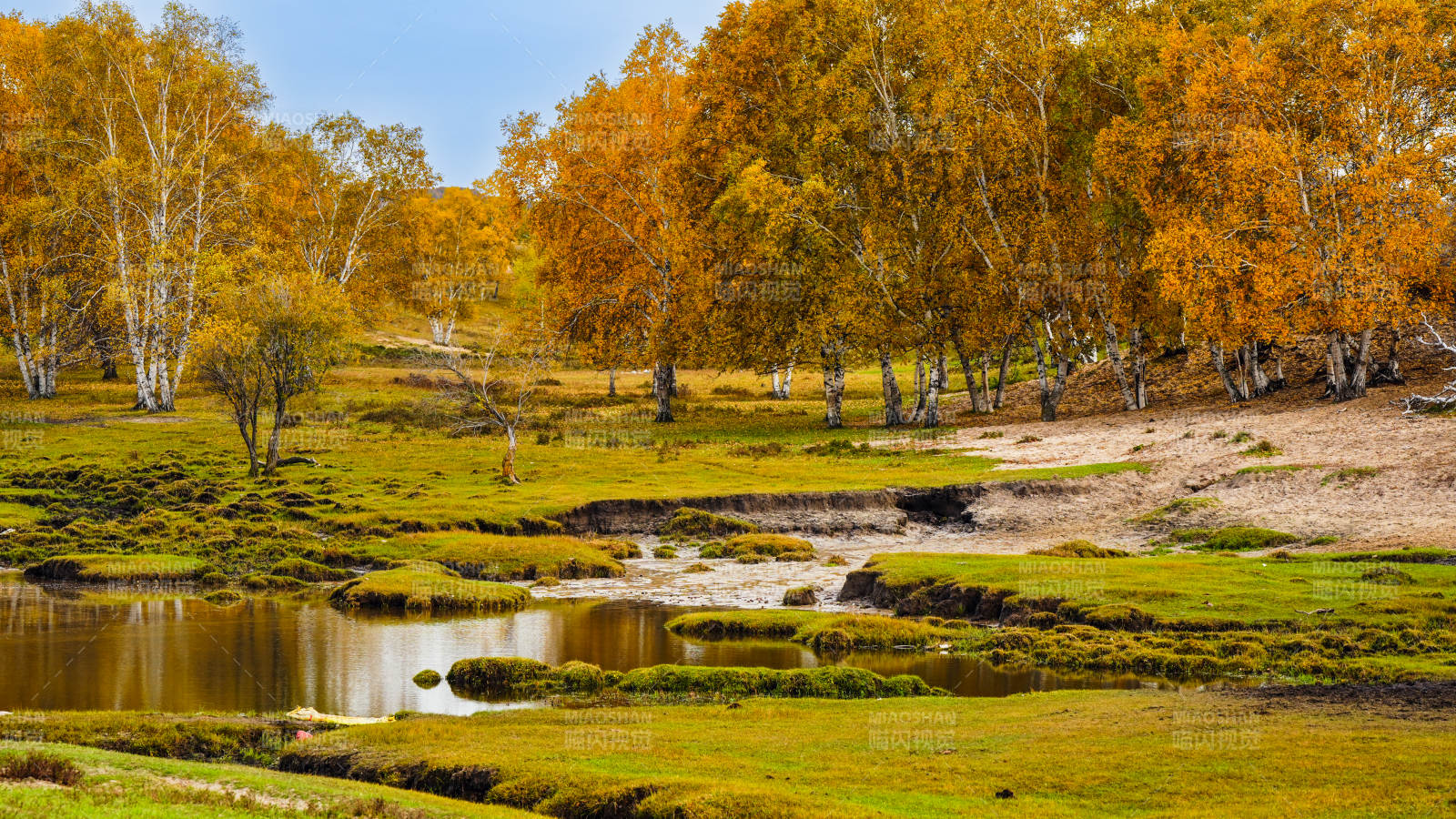乌兰布统秋林溪畔风光