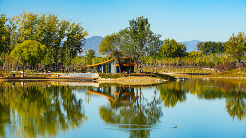 北京玉河湿地公园湖畔秋景如画