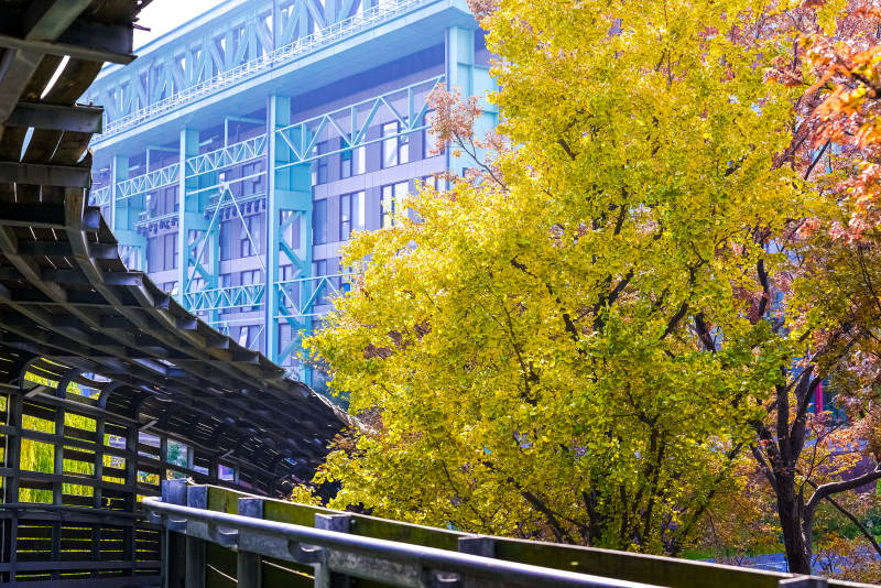 上海·世博公园